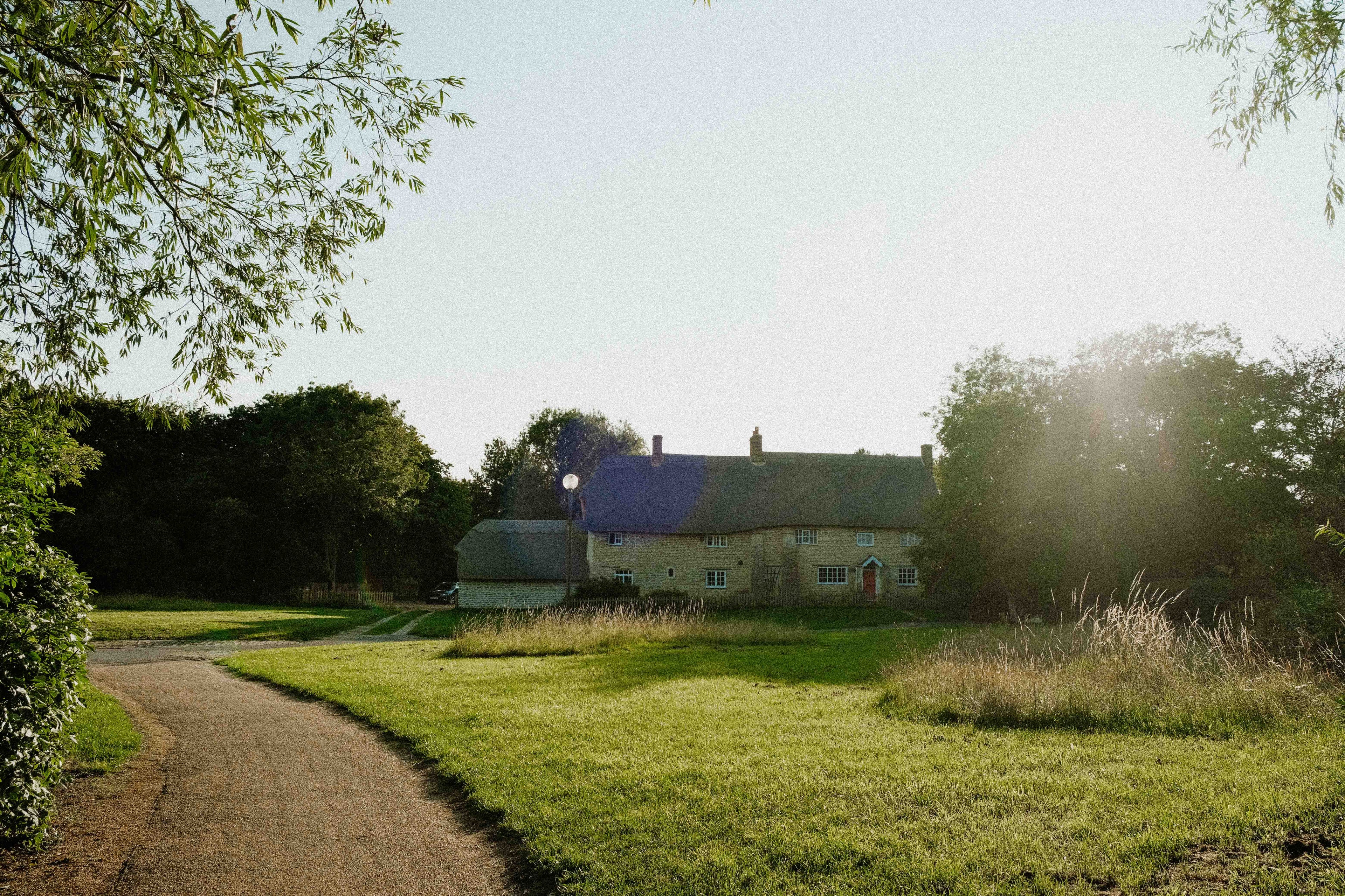 Cottage surrounded by greenery with a sunlit path leading to it